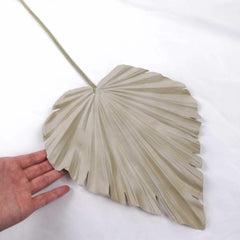 Artificial Palm Fan Spear Stem 56cmH