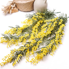 Native Wattle Hanging Garland 85cmH