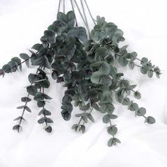 Eucalyptus Silver Dollar Spray 60cmH