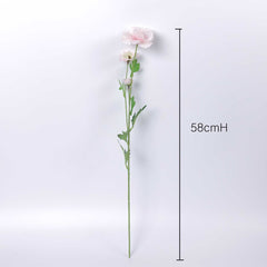 Butterfly Ranunculus Stem58cmH