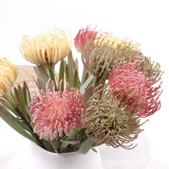 Artificial Leucospermum Stem 43cmH