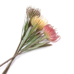 Artificial Leucospermum Stem 43cmH