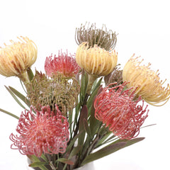 Artificial Leucospermum Stem 43cmH