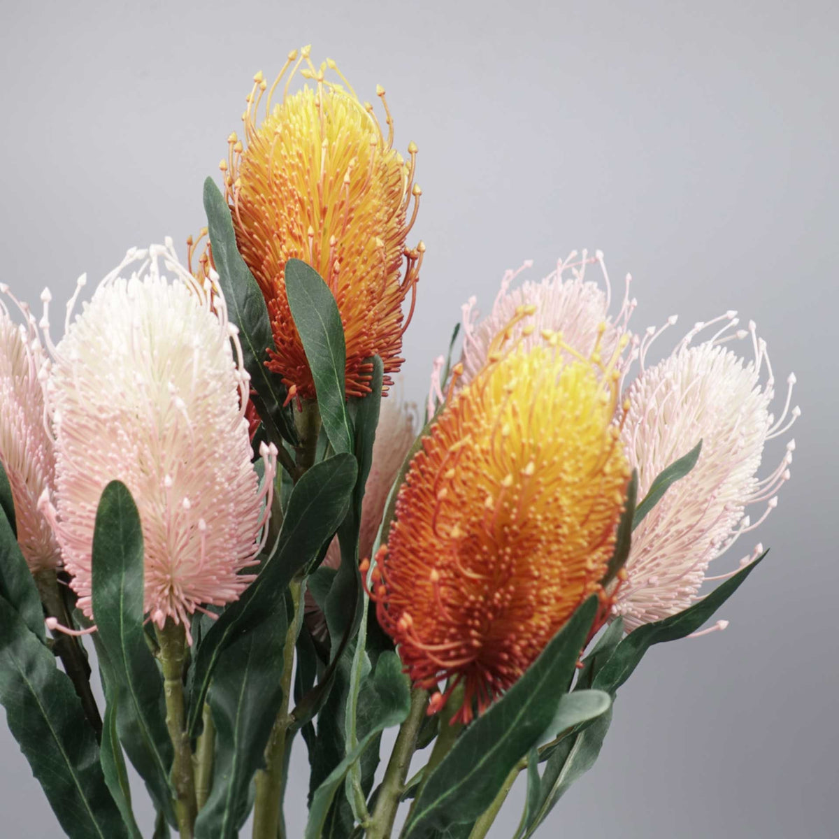 Artificial Banksia Stem 64cmH