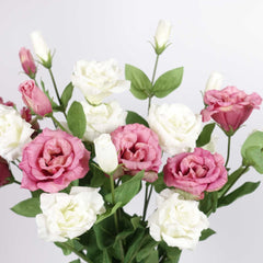 3H Real-touch Lisianthus Stem 72cmH