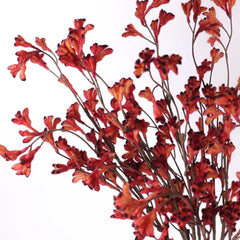 Artificial Kangaroo Paw Spray 85cmH