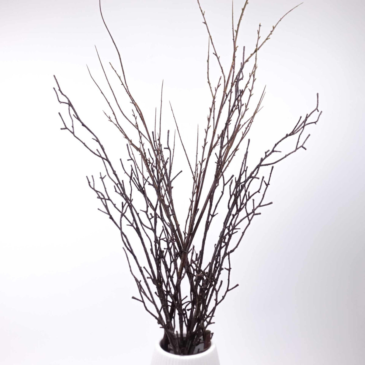 Artificial Willow Twig Branch (110cmH, 64cmH)