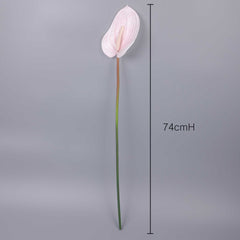 Real-touch Anthurium Stem 74cmH