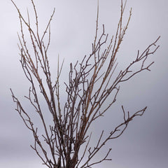 Artificial Willow Twig Branch (110cmH, 64cmH)