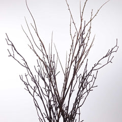 Artificial Willow Twig Branch (110cmH, 64cmH)