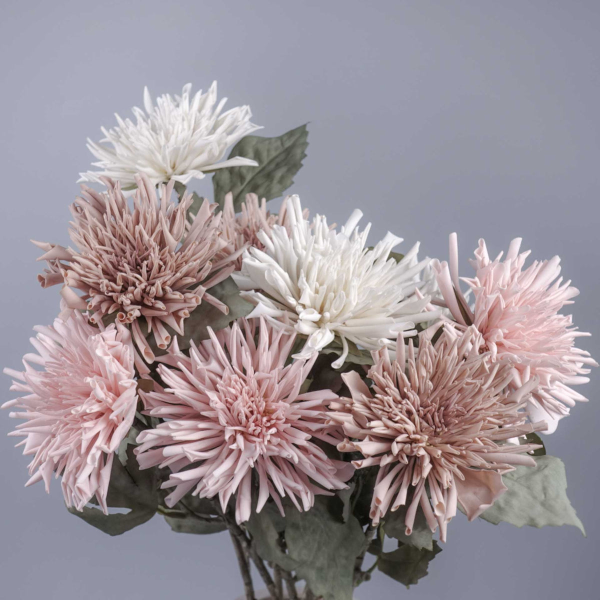 Dried-look Spider Mum Chrysanthemum Stem 61cmH