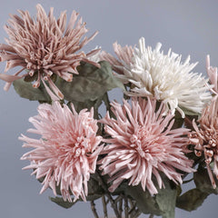 Dried-look Spider Mum Chrysanthemum Stem 61cmH