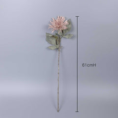 Dried-look Spider Mum Chrysanthemum Stem 61cmH