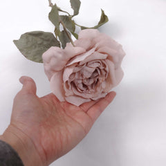 Dried-look Artificial Rose Stem 56cmH