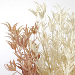 Dried-look Kangaroo Paw Spray 86cmH