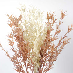 Dried-look Kangaroo Paw Spray 86cmH