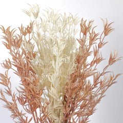 Dried-look Kangaroo Paw Spray 86cmH