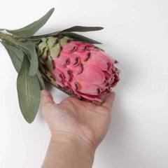 Artificial Protea Stem 74cmH