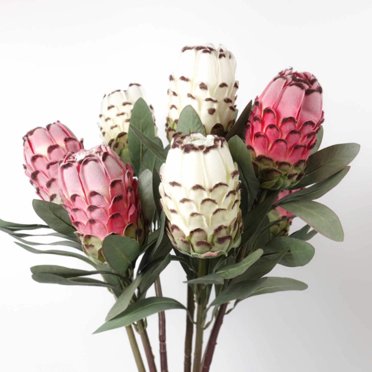 Artificial Protea Stem 74cmH