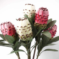 Artificial Protea Stem 74cmH