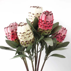 Artificial Protea Stem 74cmH