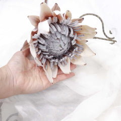 Dried-look Protea Flower Stem 53cmH