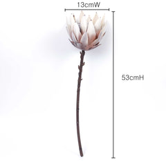 Dried-look Protea Flower Stem 53cmH