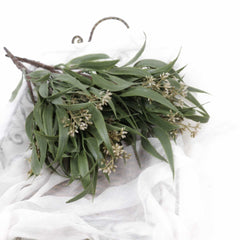 Artificial Eucalyptus Seed Bush 43cmH