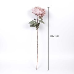 Oversized Peony Flower Stem 64cmH