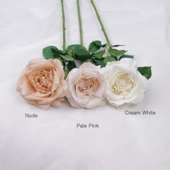 Real-touch Garden Rose Stem (Type3) 65cmH