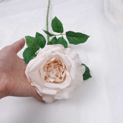 Real-touch Garden Rose Stem (Type3) 65cmH