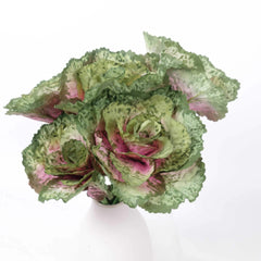 Artificial Cabbage Flower 34cmH