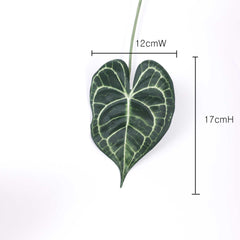 2 Stems Syngoniums Leaf 43cmH