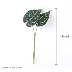 2 Stems Syngoniums Leaf 43cmH