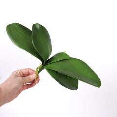 Artificial Orchid Leaf 33cmW x 25cmH