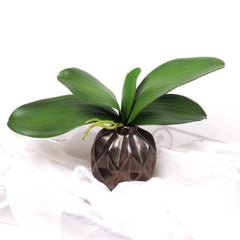 Artificial Orchid Leaf 33cmW x 25cmH