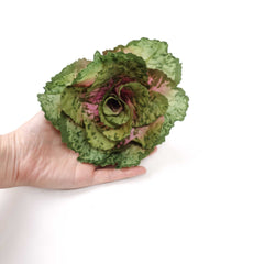 Artificial Cabbage Flower 34cmH