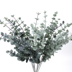 Eucalyptus Silver Dollar Spray 60cmH