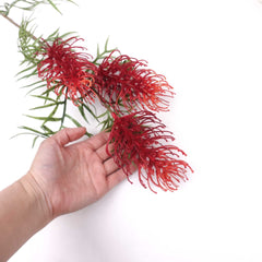 3 Heads Native Grevillea Stem 84cmH