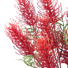 3 Heads Native Grevillea Stem 84cmH