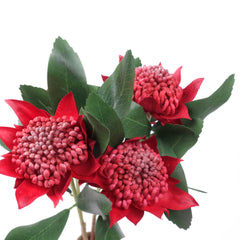 Artificial Native Waratah Stem 45cmH