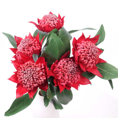 Artificial Native Waratah Stem 45cmH