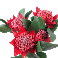 Artificial Native Waratah Stem 45cmH