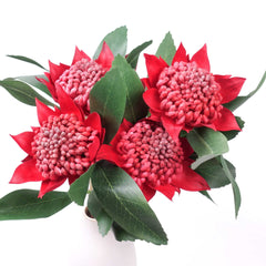 Artificial Native Waratah Stem 45cmH