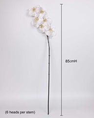 6 Heads Real-touch Artificial Orchid  85cmH