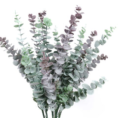 Frosted Artificial Eucalyptus Spray 75cmH