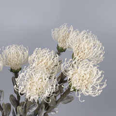 Artificial Leucospermum Stem 47cmH