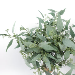 Eucalyptus Leaf Spray with Seeds 63cmH