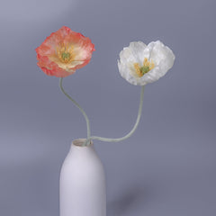 Big-head Poppy Single Stem 58cmH