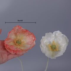 Big-head Poppy Single Stem 58cmH